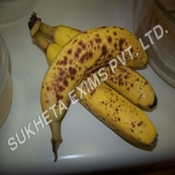 Half Ripe Banana Manufacturer Supplier Wholesale Exporter Importer Buyer Trader Retailer in Aurangabad Maharashtra India